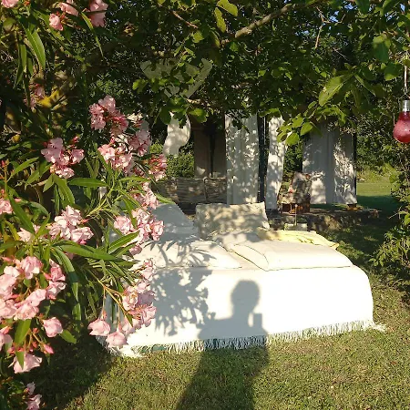 Bed and Breakfast Le Bumbarelle à Tavoleto Extérieur photo